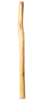 Medium Size Natural Finish Didgeridoo (TW855)